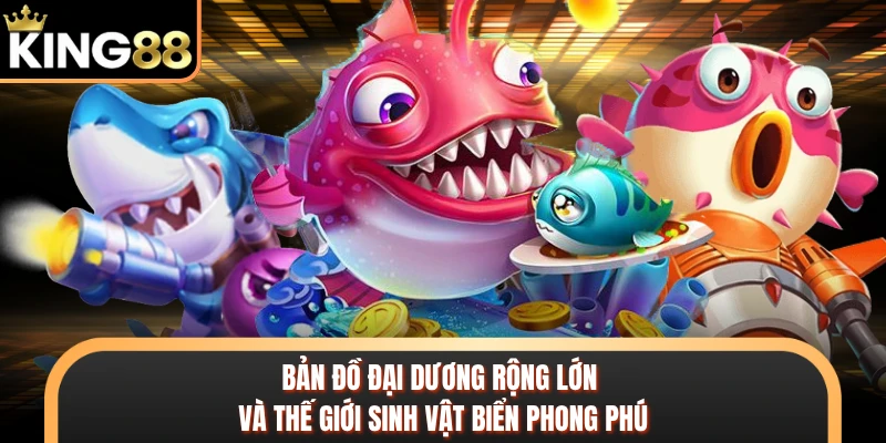 Bản đồ đại dương rộng lớn và thế giới sinh vật biển phong phú 
